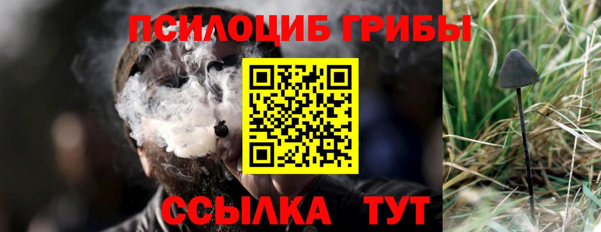 Киселёвск  Галлюциногенные грибы мухоморы  Галлюциногенные грибы мухоморы  Вход с VPN 